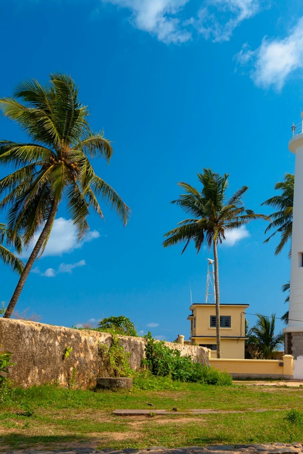 ella-sri-lanka-honeymoon-tour-packages-in-sri-lanka-ceylon-expeditions-travels
