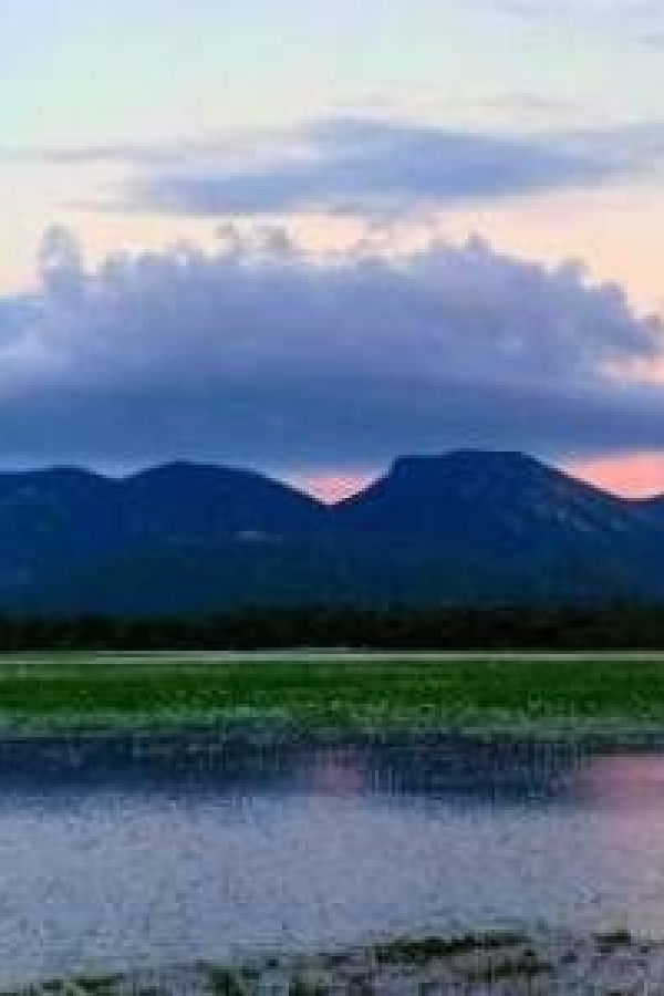 ella-sri-lanka-honeymoon-tour-packages-in-sri-lanka-ceylon-expeditions-travels