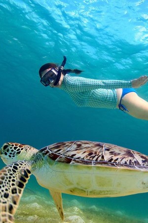 ella-sri-lanka-honeymoon-tour-packages-in-sri-lanka-ceylon-expeditions-travels
