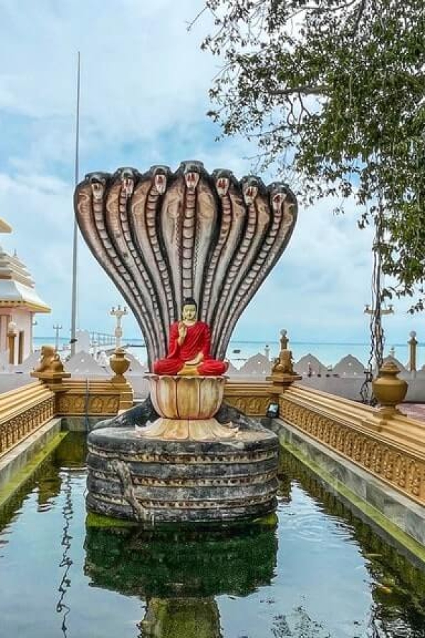 ella-sri-lanka-honeymoon-tour-packages-in-sri-lanka-ceylon-expeditions-travels