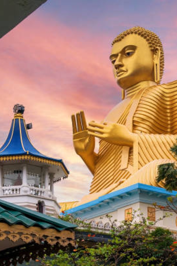 ella-sri-lanka-honeymoon-tour-packages-in-sri-lanka-ceylon-expeditions-travels