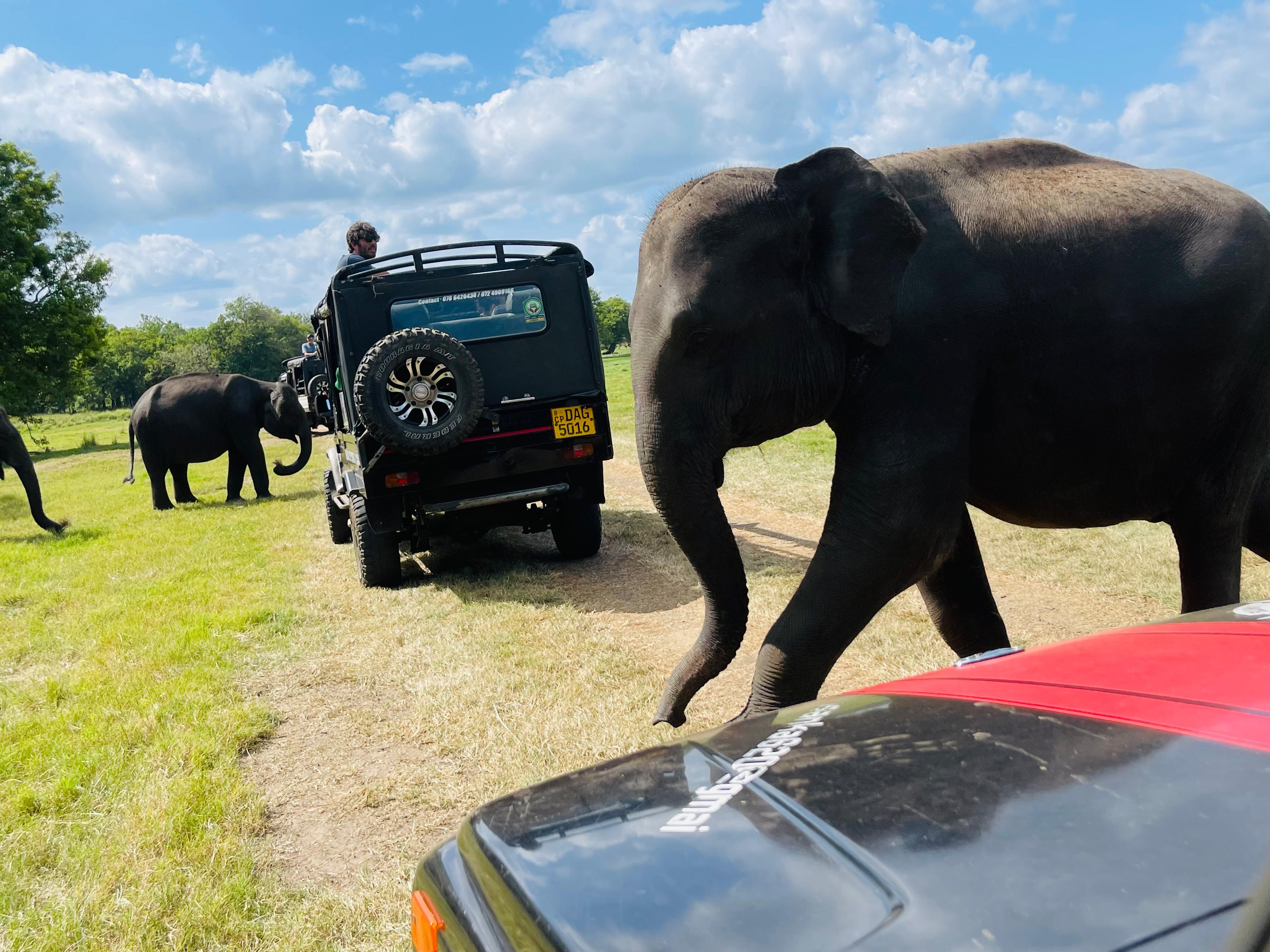 cinnamon-lake-site-honeymoon-packages-in-sri-lanka-ceylon-expeditions-travels 