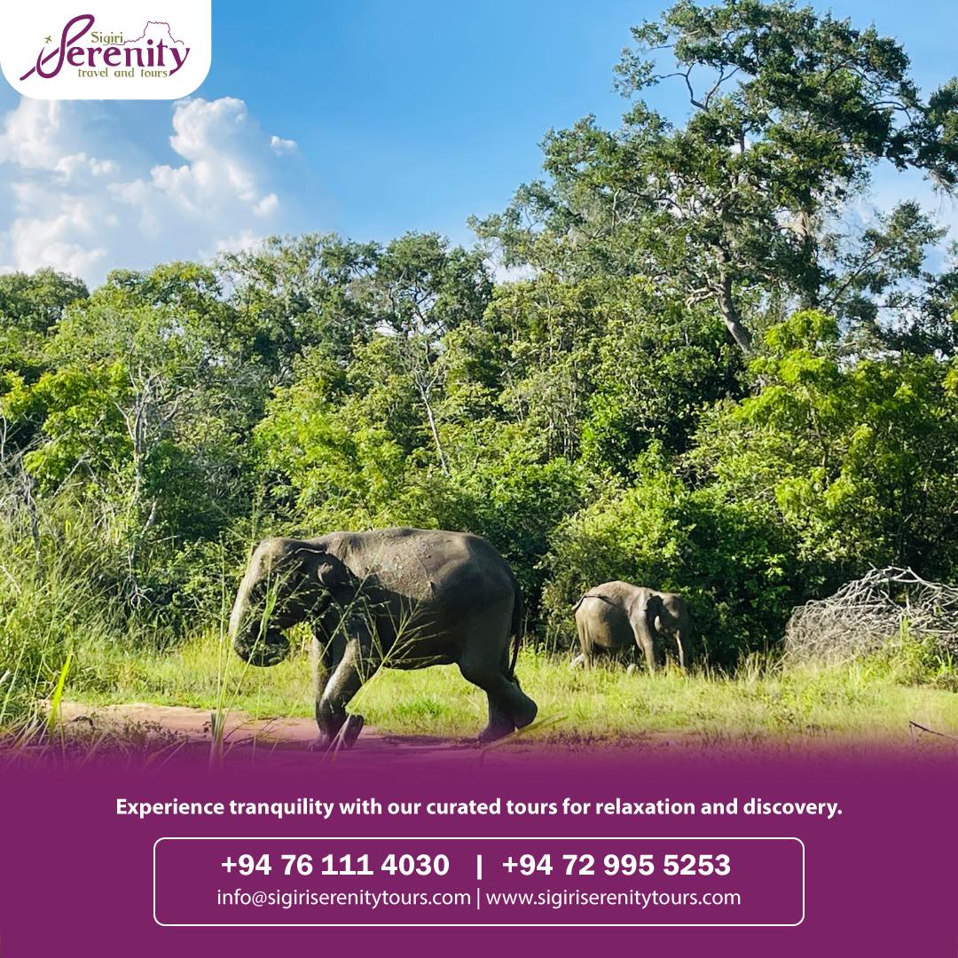 cinnamon-lake-site-honeymoon-packages-in-sri-lanka-ceylon-expeditions-travels 