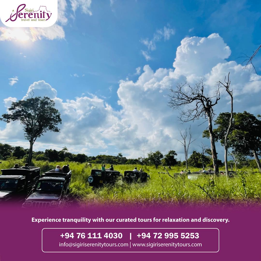 cinnamon-lake-site-honeymoon-packages-in-sri-lanka-ceylon-expeditions-travels 