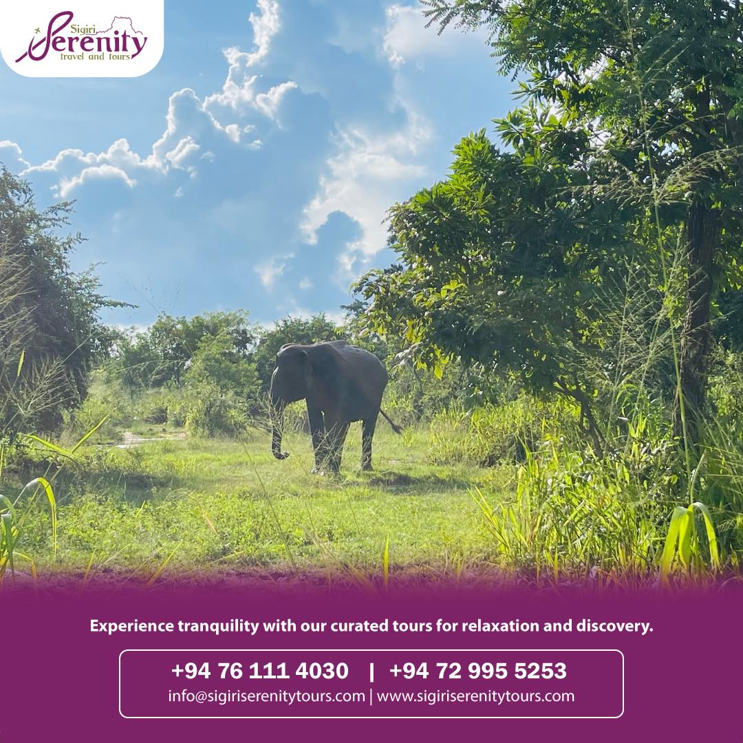 cinnamon-lake-site-honeymoon-packages-in-sri-lanka-ceylon-expeditions-travels 