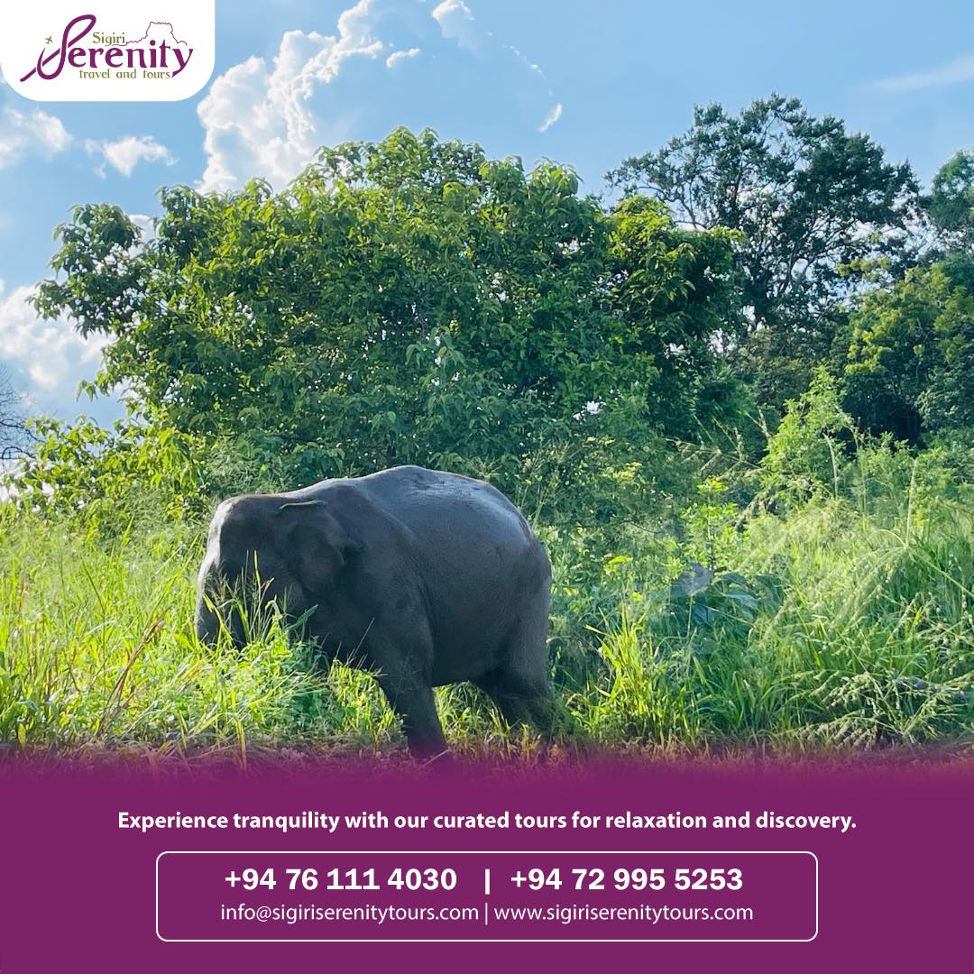 cinnamon-lake-site-honeymoon-packages-in-sri-lanka-ceylon-expeditions-travels 