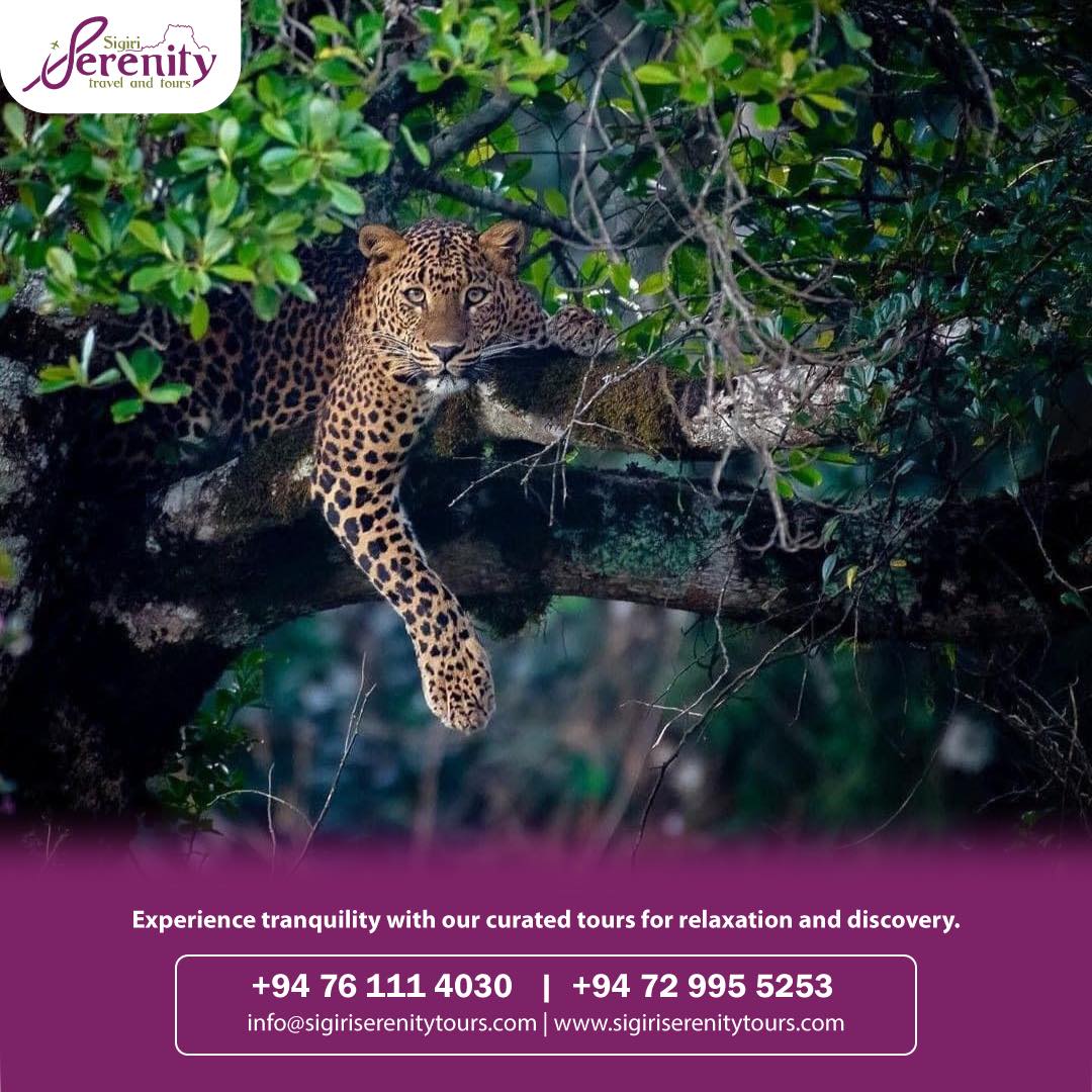 cinnamon-lake-site-honeymoon-packages-in-sri-lanka-ceylon-expeditions-travels 